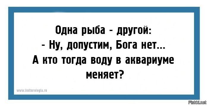 Maxim - 2  2024  15:27