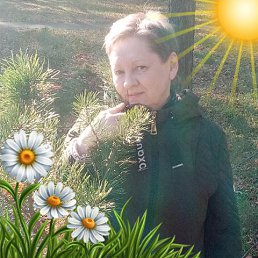 ���� ������, ���������, 64 ���� - ��������� 25 ����� 2026