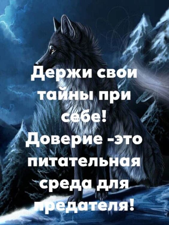 ₪╬═►  ||  ||  ◄═╬₪ - 28  2024  08:31
