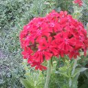 ���� ������, ������ ��������, 54 ���� - ��������� 27 ������� 2025