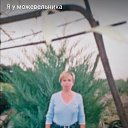 ���� ����, ��������, 39 ��� - ��������� 12 ������� 2025 � ������ ���� ����������
