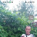  , , 45  -  23  2025    