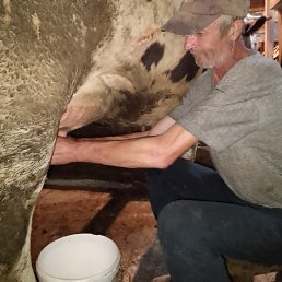 ���� ����, ���������, 59 ��� - ��������� 25 ������� 2024