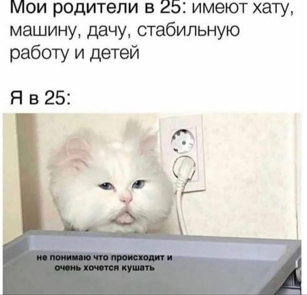    - 11  2024  11:31