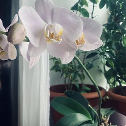 ���� ����, ������ - ��������� 27 ���� 2026