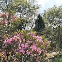 .    .   .    2025 .