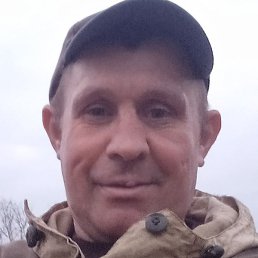 ����, �������, 43 ����