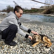 ������, 43 ����, ������