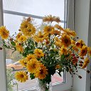 ���� �������, ����, 70 ��� - ��������� 16 ������� 2025 � ������ ���� ����������