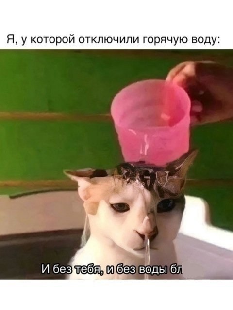       - 2