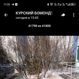 ���� ������, �����, 53 ���� - ��������� 20 ����� 2026