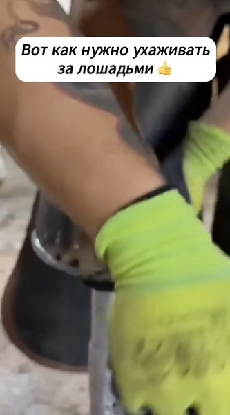   . - 2