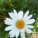 ���� �����, ����, 67 ��� - ��������� 19 ������� 2025 � ������ �������