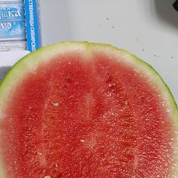 �������, ����, 48 ���