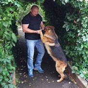 ������, 50 ���, ����������