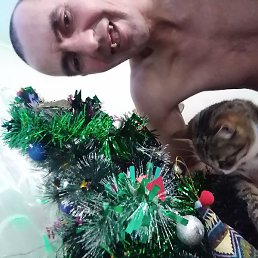 �������, �����������, 45 ���