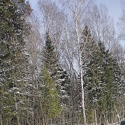 Азамат, 39 лет, Санкт-Петербург Азамат, 39 лет, Санкт-Петербург