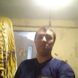 , 29, 