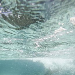 ���� ��������, ������, 39 ��� - ��������� 25 ����� 2026