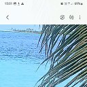 ���� �����, ������, 50 ��� - ��������� 21 ������� 2025 � ������ ���� ����������