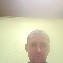 , 48, 