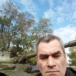 , 53, 