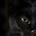 ���� Aleksej, ����� - ��������� 31 ������ 2025 � ������ ���� ����������
