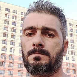 �����, ������, 43 ����