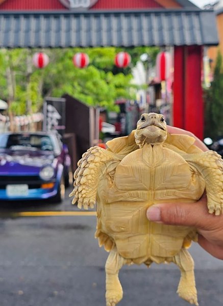 ��� ��������� �������� ����� ���������� ������ ������ � �����������. �� ����� ������� ��� ��������� ... - 10