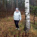 ���� ���, ������ - ��������� 11 ������ 2025 � ������ ���� ����������