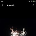 ���� ����������, �����, 45 ��� - ��������� 21 ���� 2024 � ������ ���� ����������