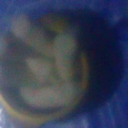 Atah, �����������, 37 ���