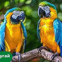 ���� ���, ������, 41 ��� - ��������� 7 ������� 2025 � ������ ���� ����������