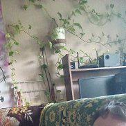 , 42 , 