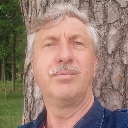 ���� ��������, ������, 62 ���� - ��������� 15 ������� 2024