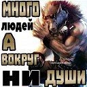  , , 50  -  26  2025