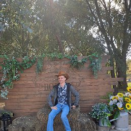 ���������, ��������, 38 ���