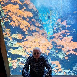 Vladimir, ���������