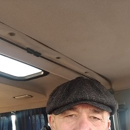 , 61, 