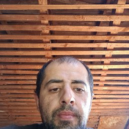 , 37, --