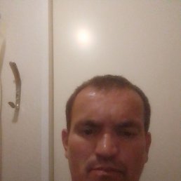 , 41 , 