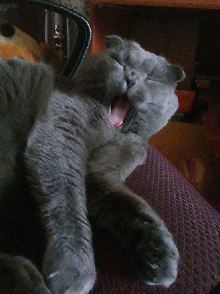  !  , , ,     !