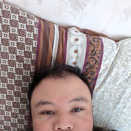 , 29,  