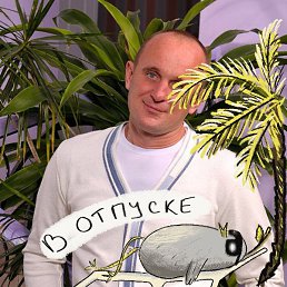 ������, �����, 37 ���