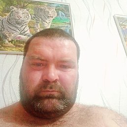 Vladimirklinkov, 40, 