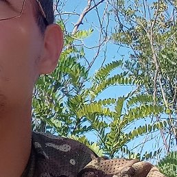 Vladimir, ����������, 38 ���