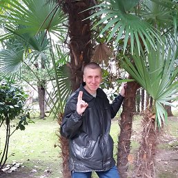 ���� �����, ���������, 44 ���� - ��������� 24 ������� 2024