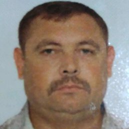  , 53 , 