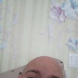 �����, �����, 41 ���