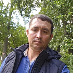 , 41,  
